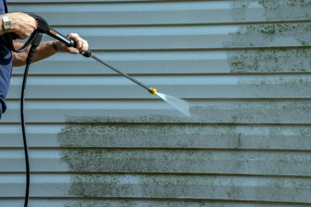 Best Local Pressure Washing Services  in Forest City, IA