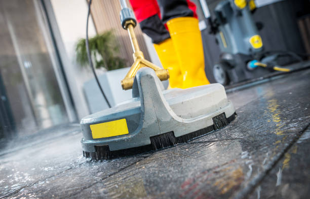 Best Pressure Washing Driveway  in Forest City, IA