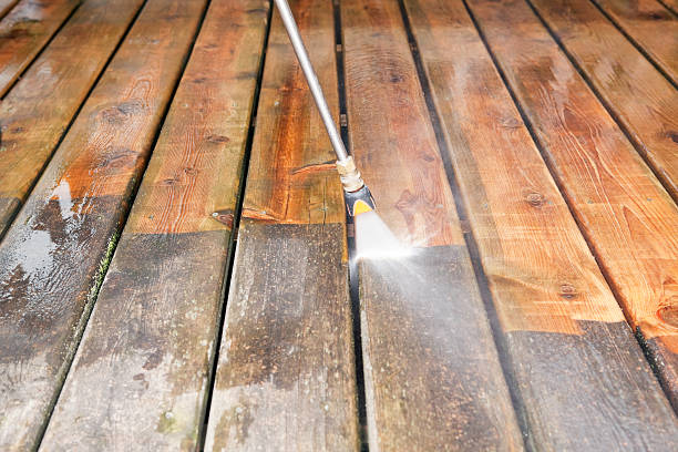 Best Pressure Washing Company Near Me  in Forest City, IA