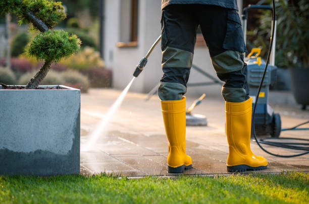 Best Fence Pressure Washing  in Forest City, IA